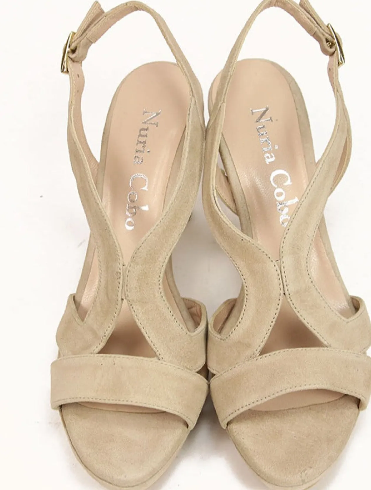 Kenia camel
